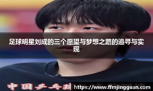 足球明星刘成的三个愿望与梦想之路的追寻与实现